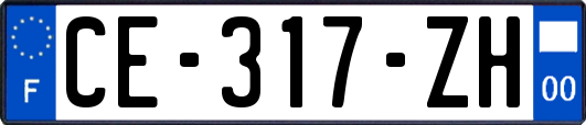 CE-317-ZH