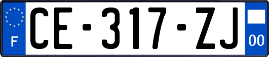 CE-317-ZJ