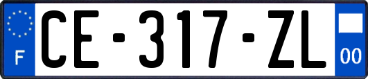CE-317-ZL