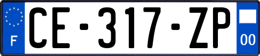 CE-317-ZP