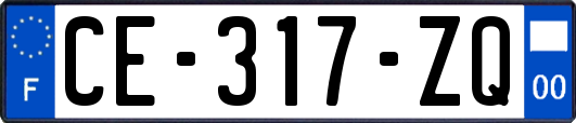 CE-317-ZQ