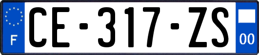CE-317-ZS