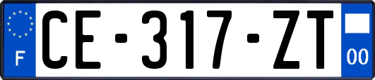 CE-317-ZT