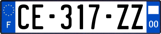 CE-317-ZZ