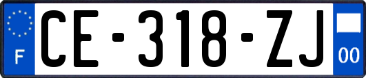 CE-318-ZJ