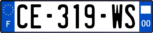 CE-319-WS