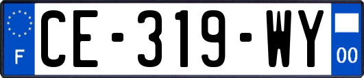 CE-319-WY