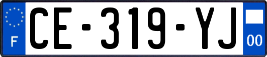 CE-319-YJ