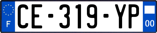 CE-319-YP