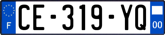 CE-319-YQ