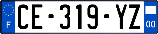 CE-319-YZ