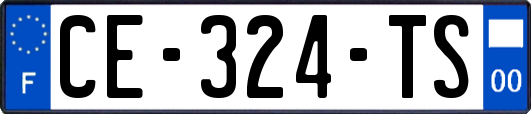 CE-324-TS