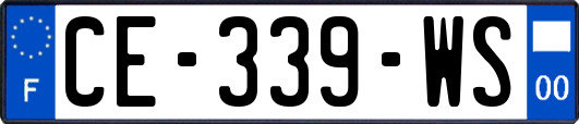 CE-339-WS