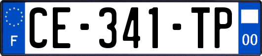 CE-341-TP