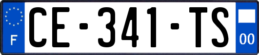 CE-341-TS