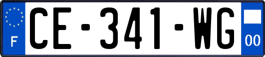 CE-341-WG