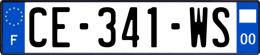 CE-341-WS