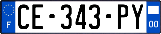 CE-343-PY