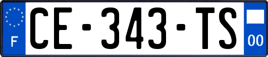 CE-343-TS