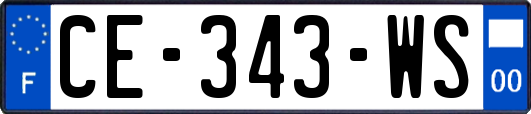 CE-343-WS