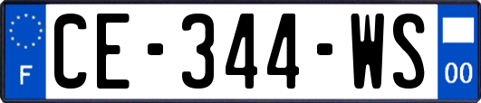 CE-344-WS