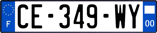 CE-349-WY