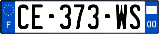CE-373-WS