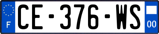 CE-376-WS