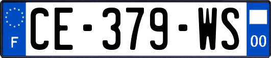 CE-379-WS
