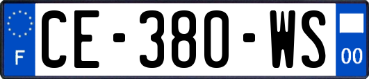 CE-380-WS