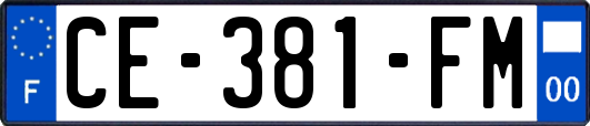 CE-381-FM