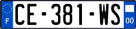 CE-381-WS