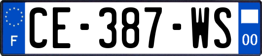 CE-387-WS
