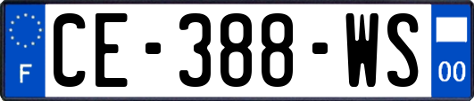 CE-388-WS