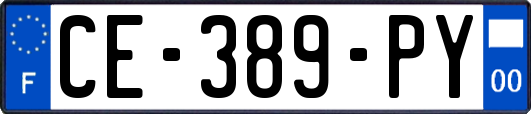 CE-389-PY