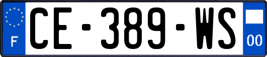 CE-389-WS