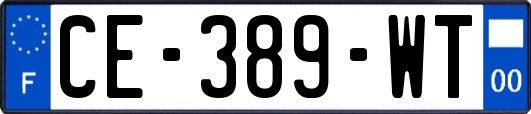 CE-389-WT