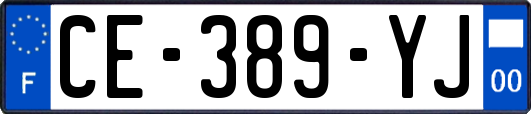 CE-389-YJ