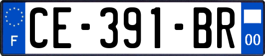 CE-391-BR