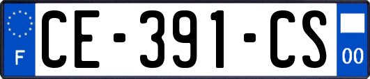 CE-391-CS