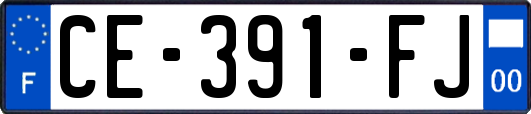 CE-391-FJ