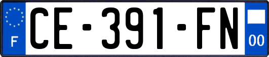 CE-391-FN