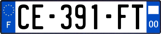 CE-391-FT