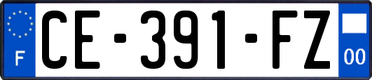 CE-391-FZ