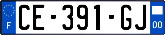 CE-391-GJ