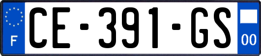 CE-391-GS