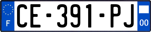 CE-391-PJ