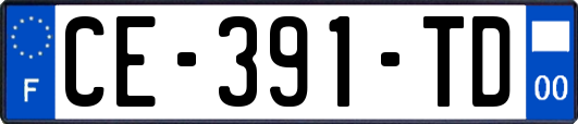 CE-391-TD