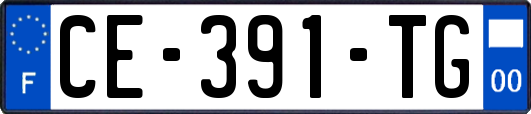 CE-391-TG