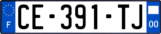 CE-391-TJ